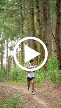 BIB:  <button type="button" onclick="openModal(27338452)" class="btn btn-primary btn-sm float-right" data-toggle="modal" data-target=".modal-high-quality">
                <i class="fa fa-download"></i> Download
                </button>